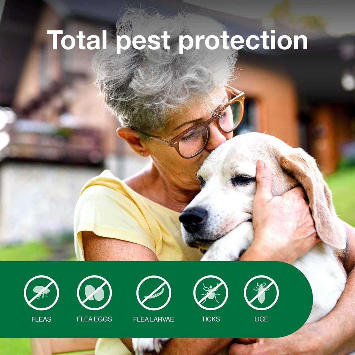 Flea & Tick Treatment Spray for Dogs F132