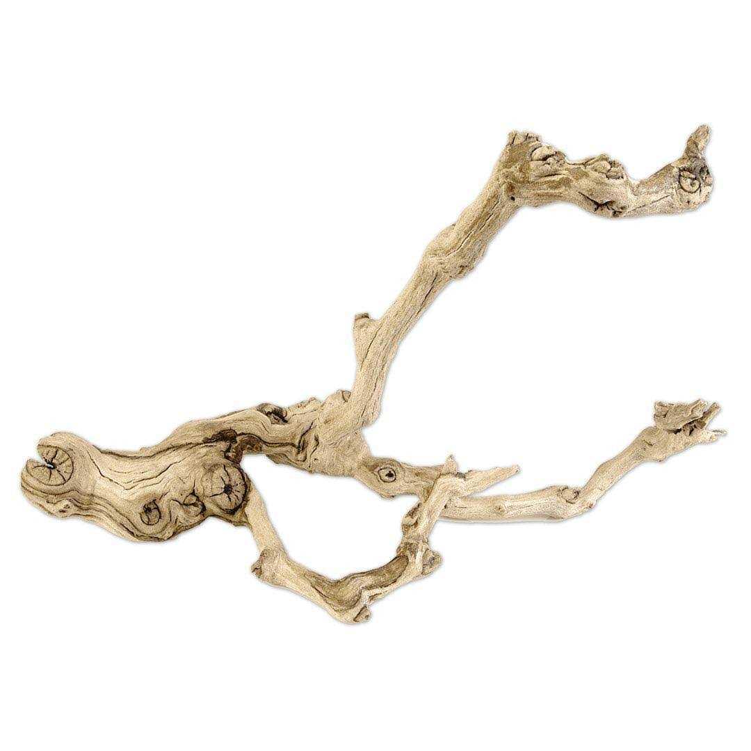 Grapewood Branch T9792