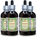 Epimedium grandiflorum Alcohol-Free Liquid Extract 4x4 fl.oz J782438