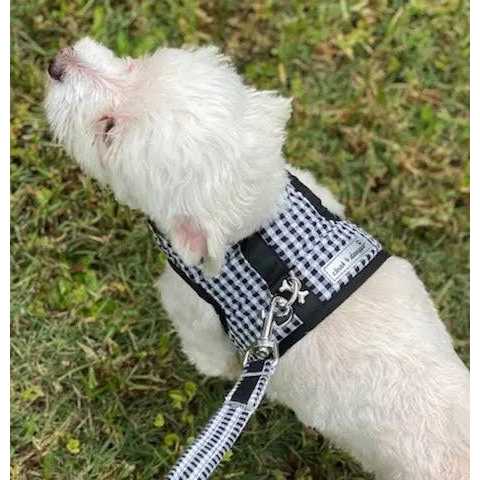 Gingham Dog Harness Vest S496625