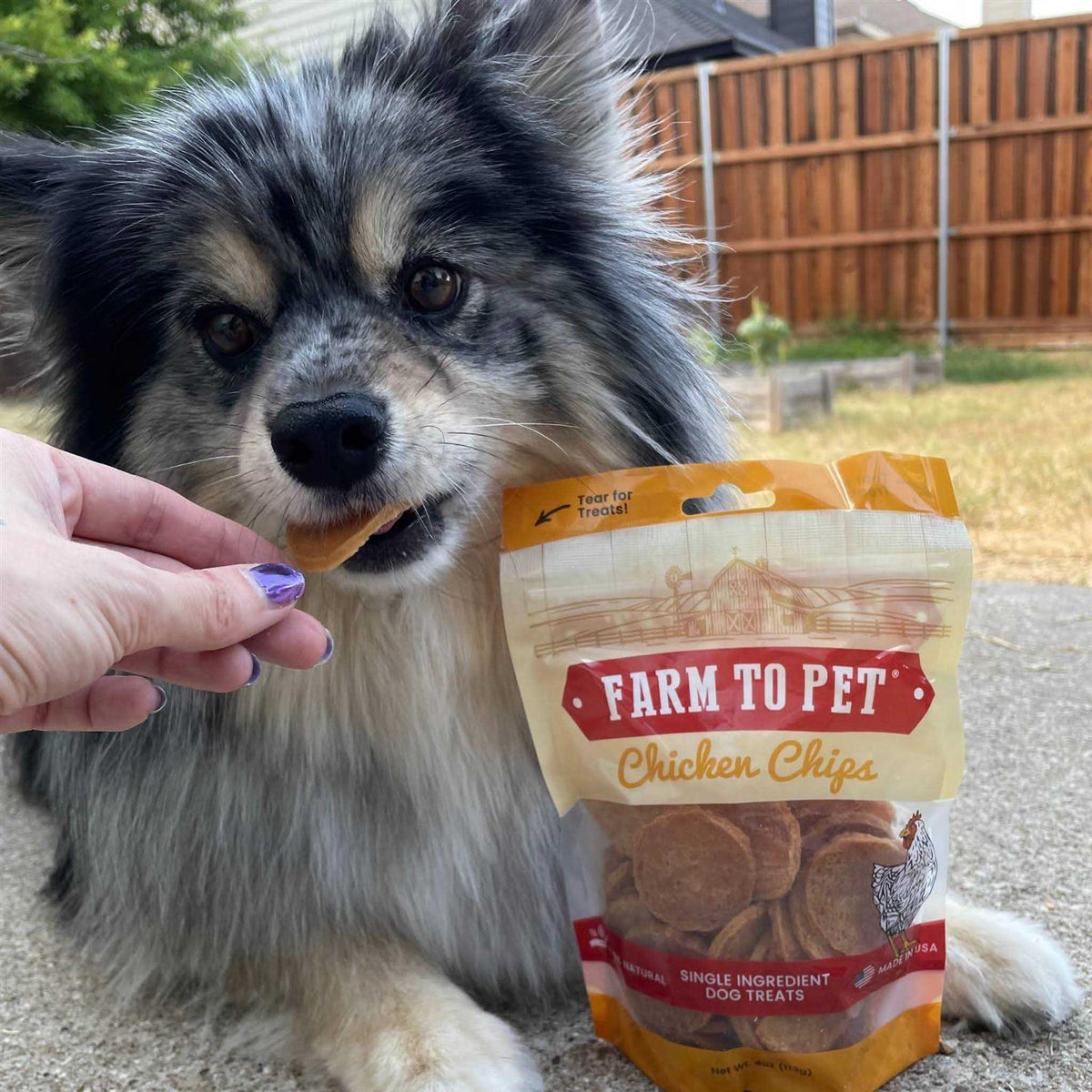 Chicken Chips Dog Treats D550