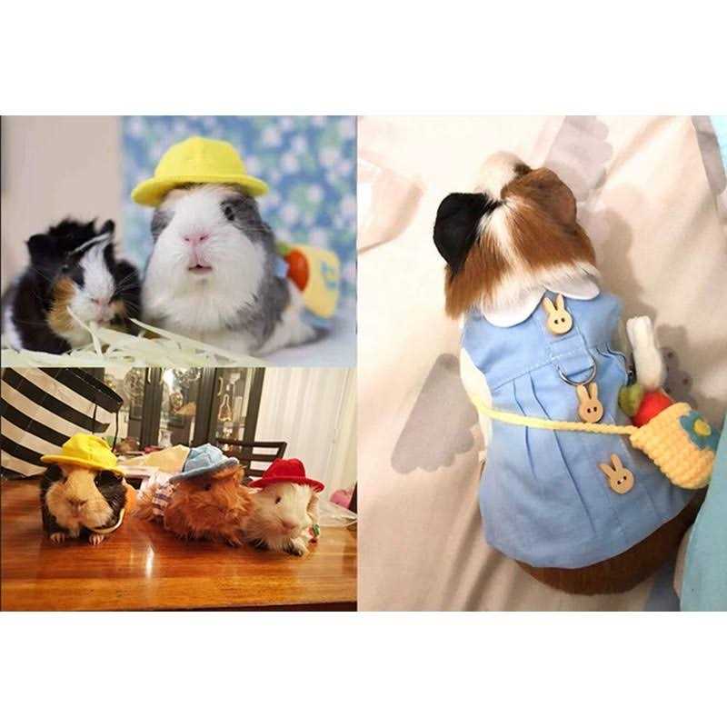 Ferret Clothes Set Small Animal Harness and Leash Adjustable Chest Straps N14094