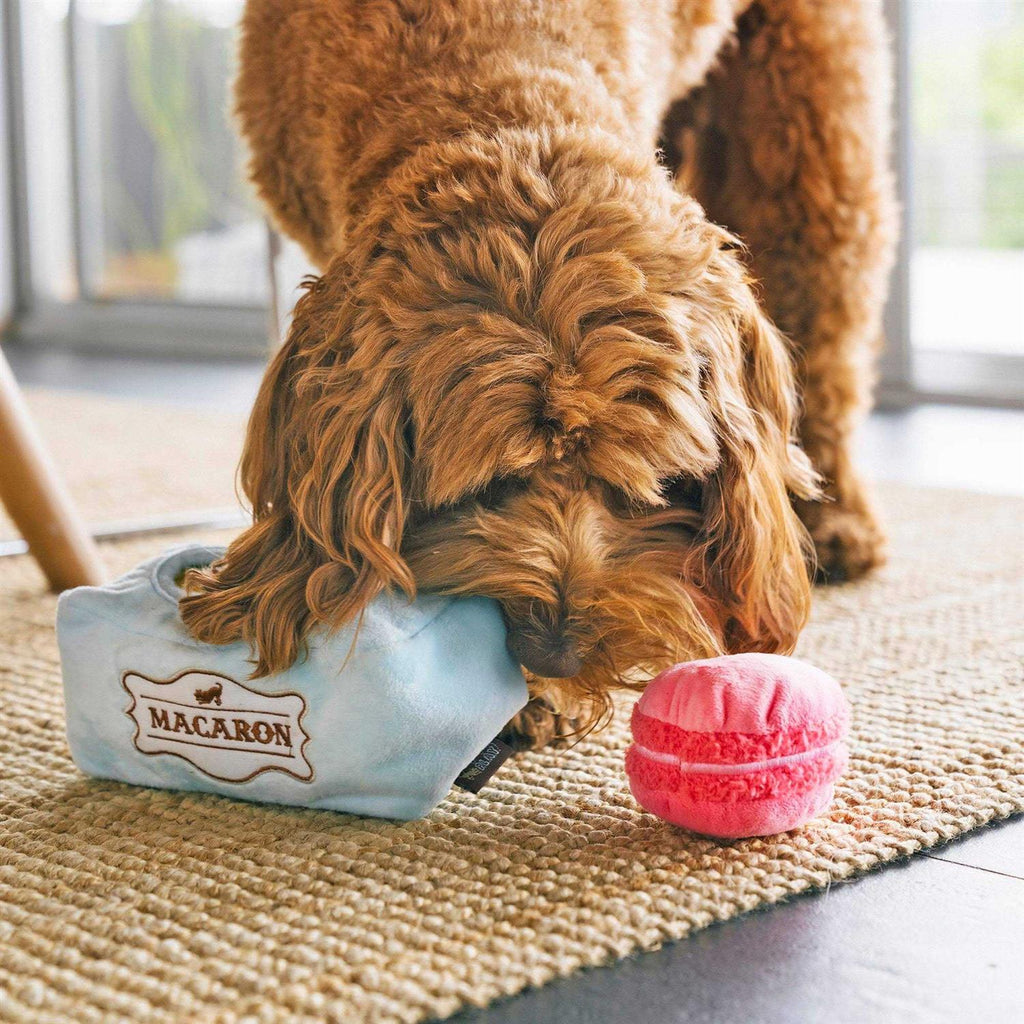 Mutt-a-rons Pet Toy L49306