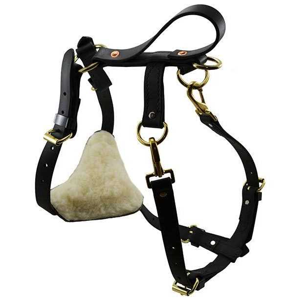 Biothane Multi-Function Harness Y424