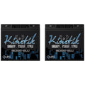 600 Watt Car Audio Battery 2 Pack W34556