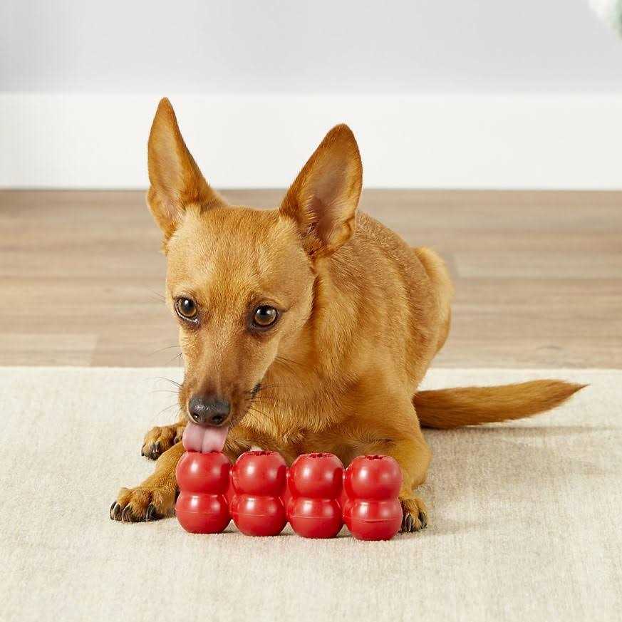 Ribbon Dog Toy J963