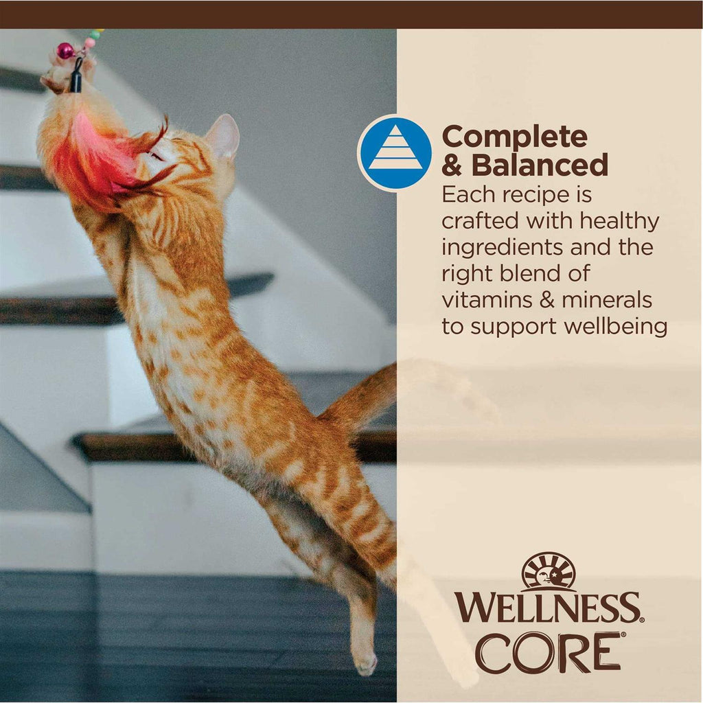 Flaked Wet Cat Food H405088