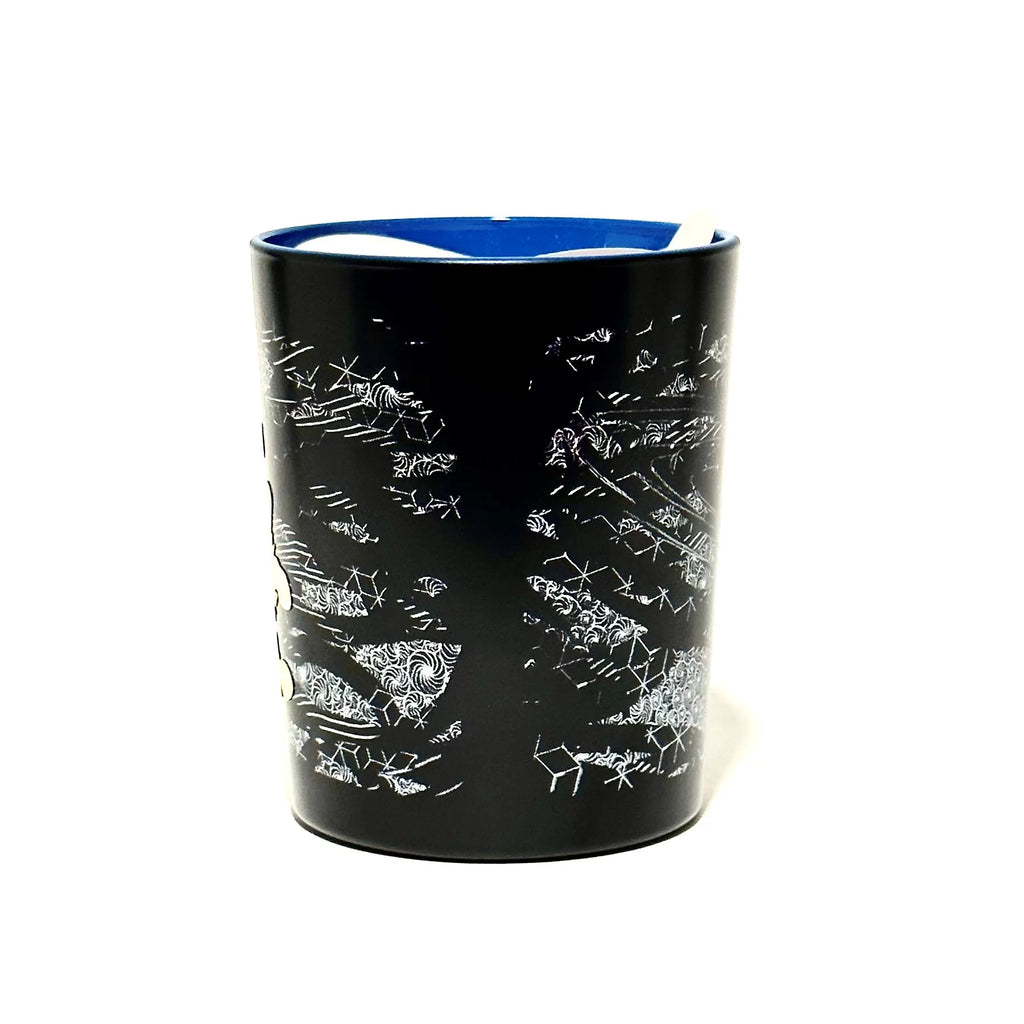 Scented Candle 6.5oz C814484