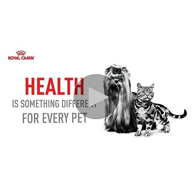 Adult Feline Health Nutrition Morsels in Gravy Cat Food G167