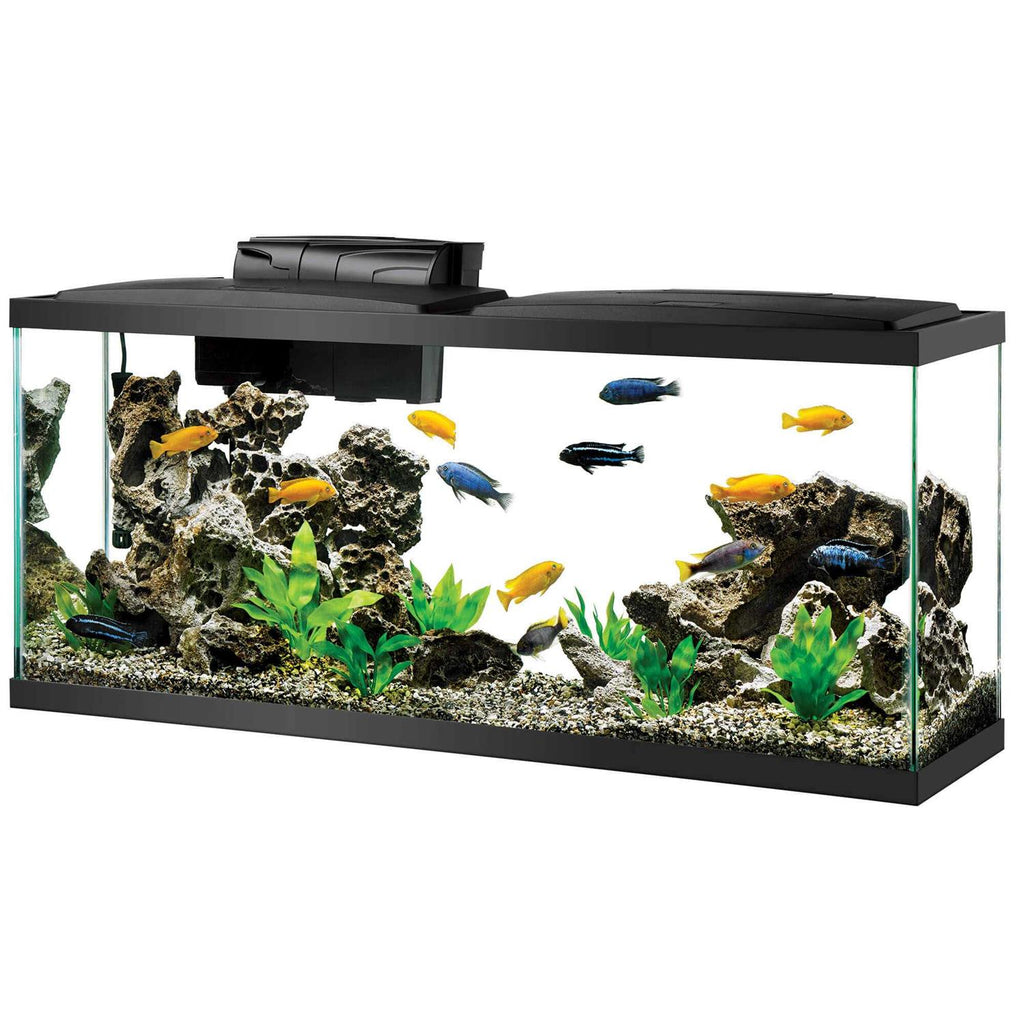 Standard Aquarium X9652