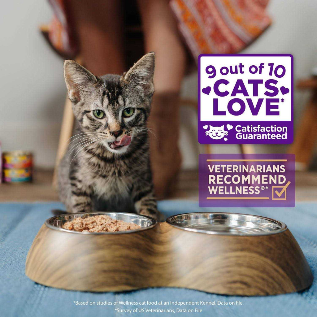 Flaked Wet Cat Food H405088