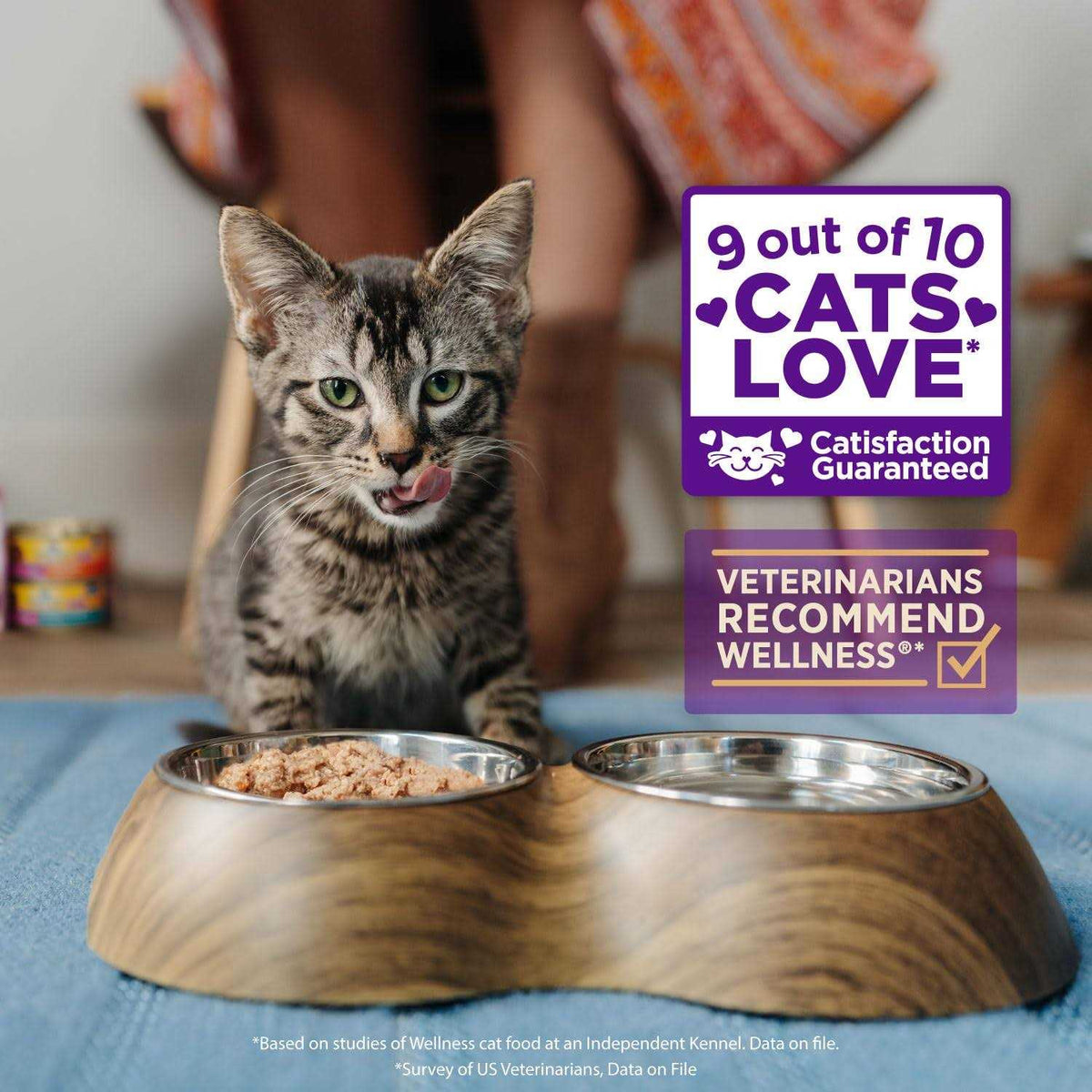 Flaked Wet Cat Food H405088