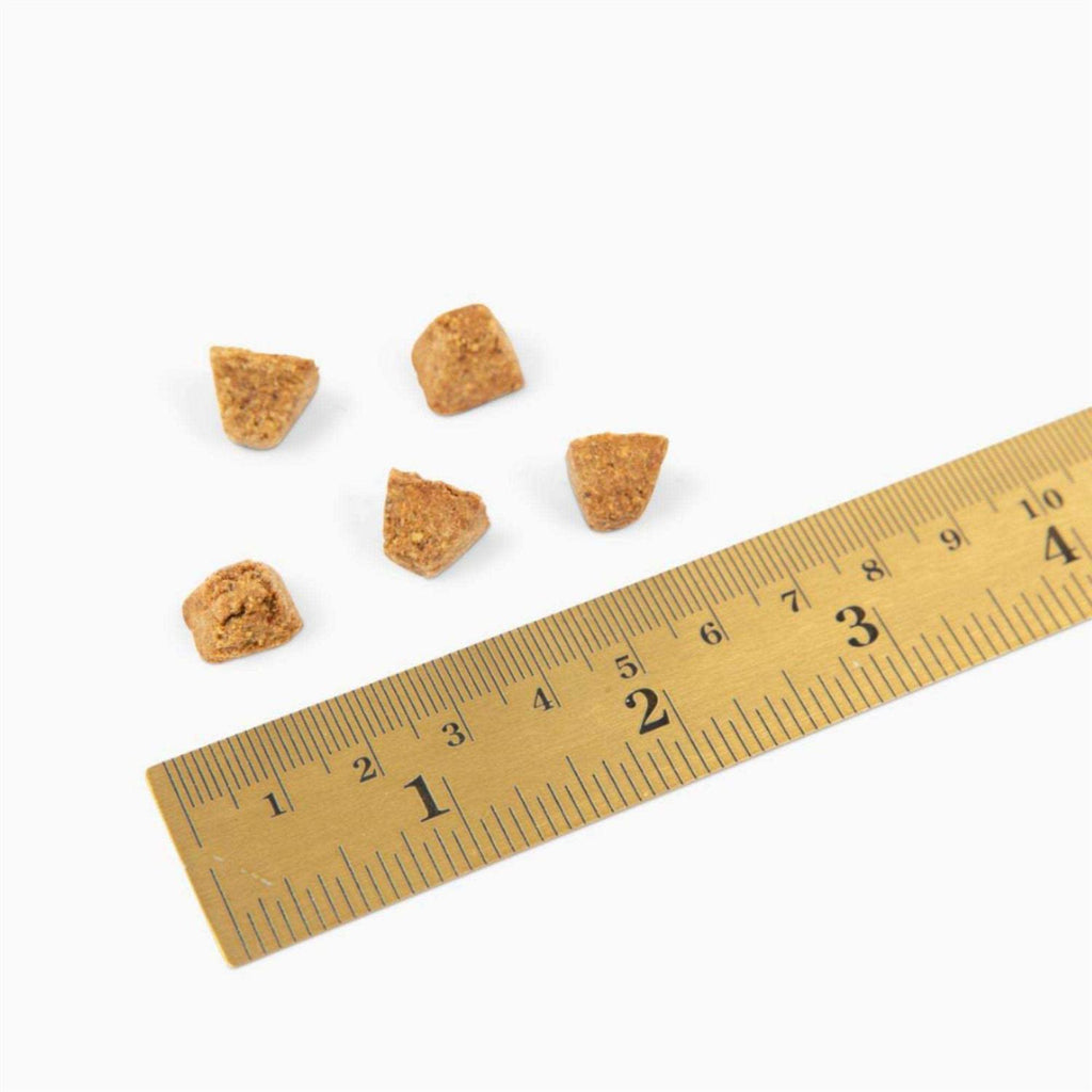 Dry Dog Food N86799