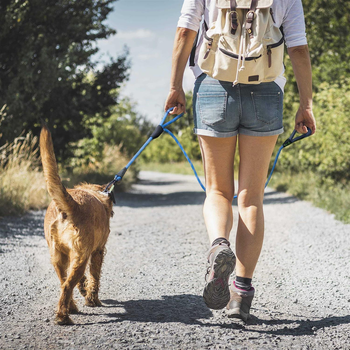 Dog Rope Leash T69758