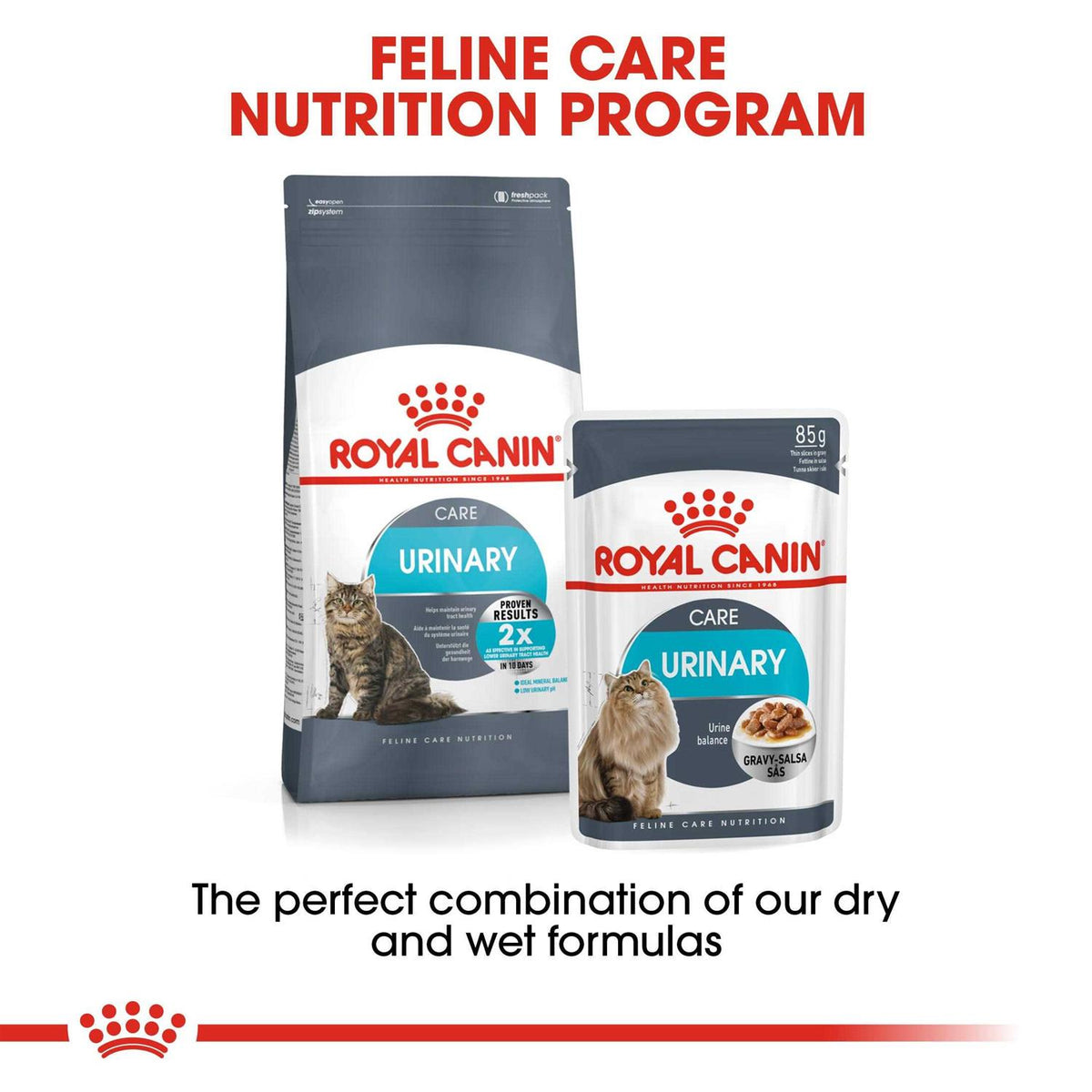 Wet Cat Food T424