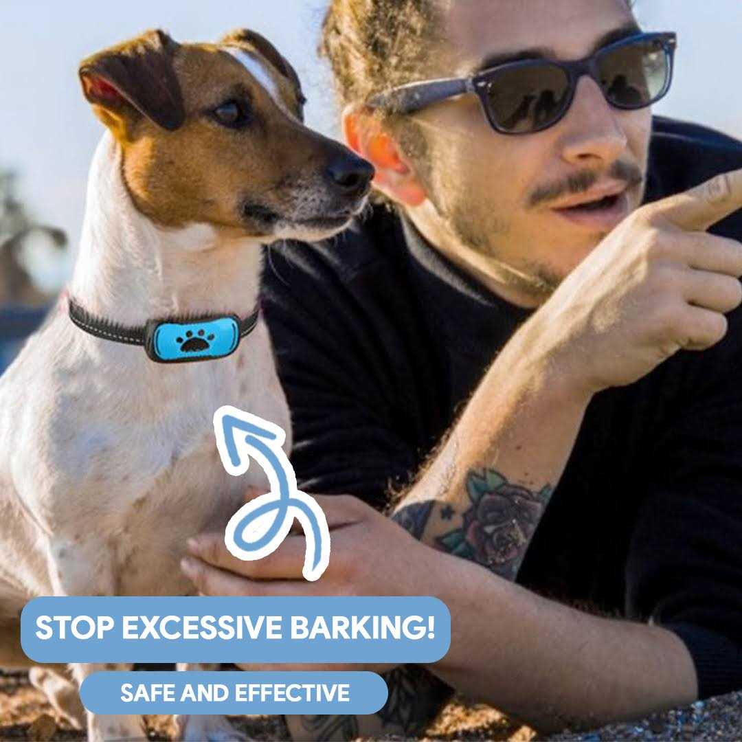 Anti-Bark Collar for Dogs O174