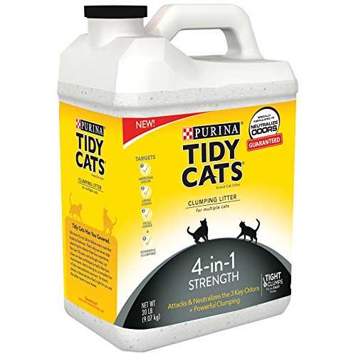 Scented Clumping Clay Cat Litter 20-lb Case of 2 Y70925