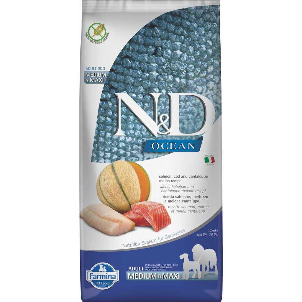 Chicken & Pomegranate Dry Dog Food X28124