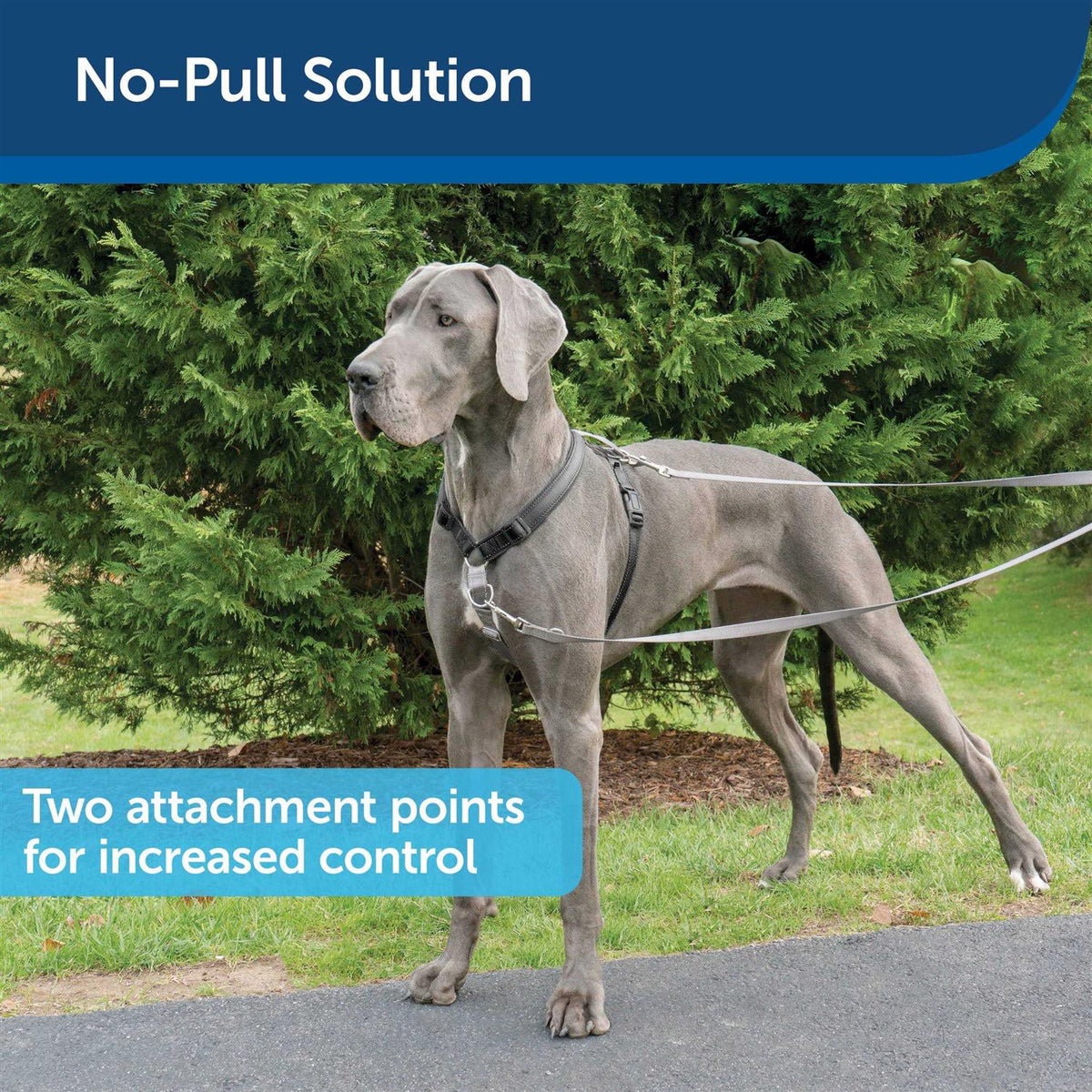 3 in 1 Harness with Two Point Control Leash O8237