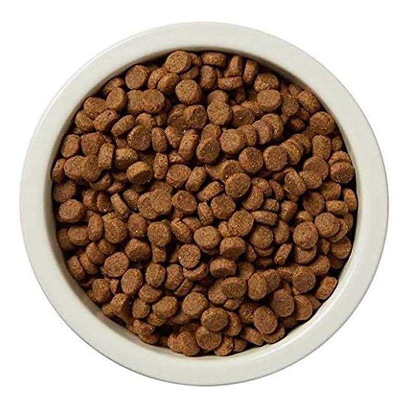 Dry Dog Food And Brown Rice O681459