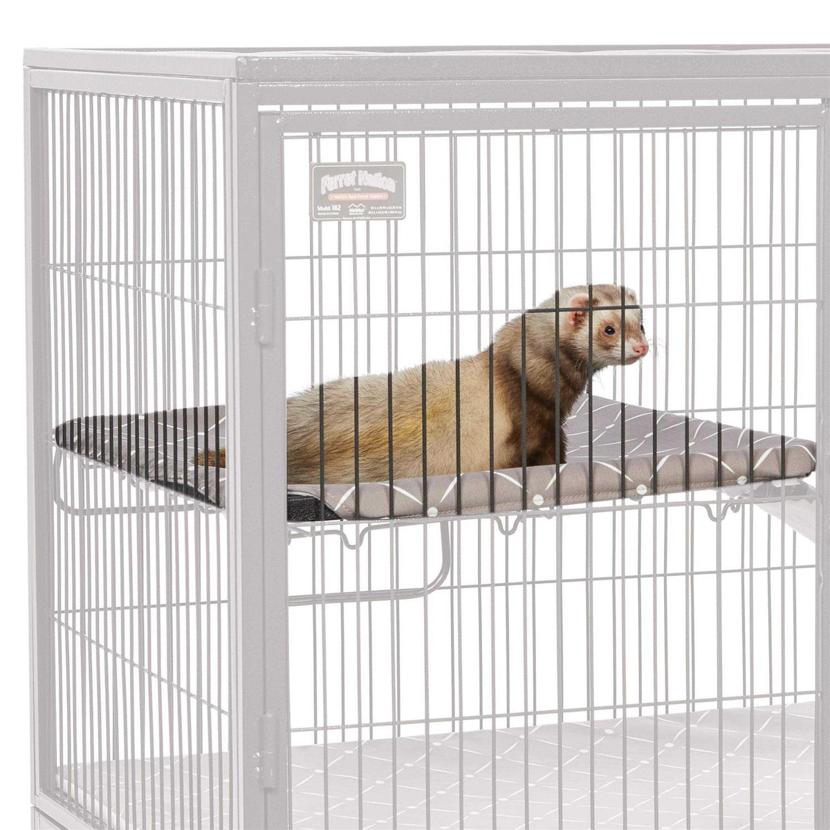 Ferret Nation & Critter Nation Accessories Kit D519849