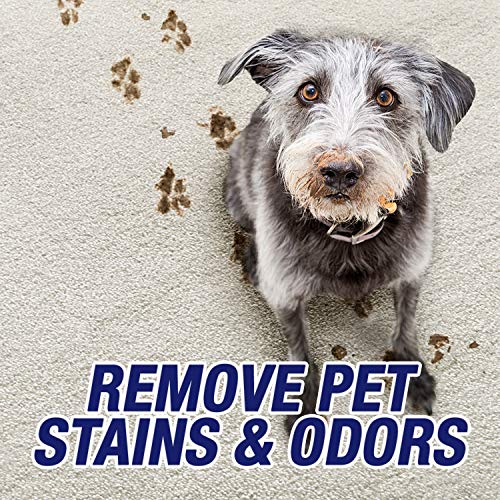 32oz Pet Odor and Stain Remover Spray V280