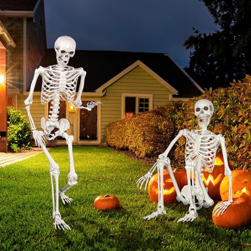 Life Size Skeleton with Movable Joints U404388