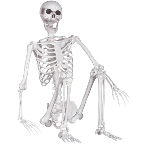 Life Size Skeleton with Movable Joints U404388
