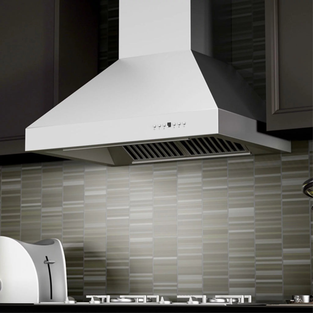 48 in. Stainless Steel Wall Mount Range Hood B32176