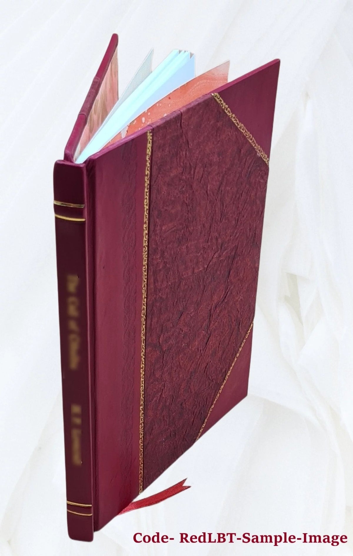 Ginger Selected Passages Military Career Pte Jordan B. E. F. 1916 Leather Bound I254
