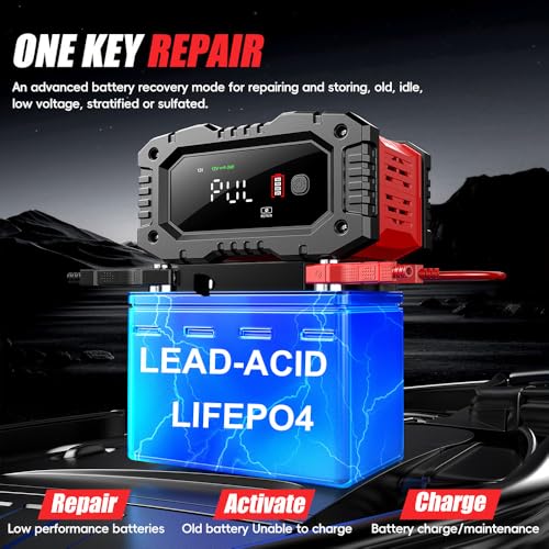 20Amp 12V/24V Smart Automatic Battery Charger X253176