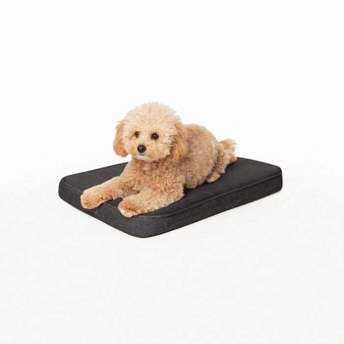 Memory Foam Crate Pad & Dog Bed H577594