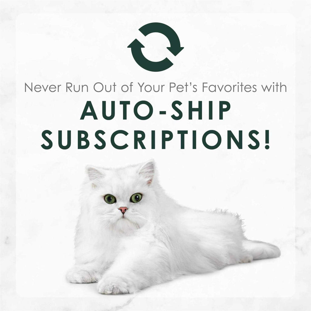 Wet Cat Food T579605