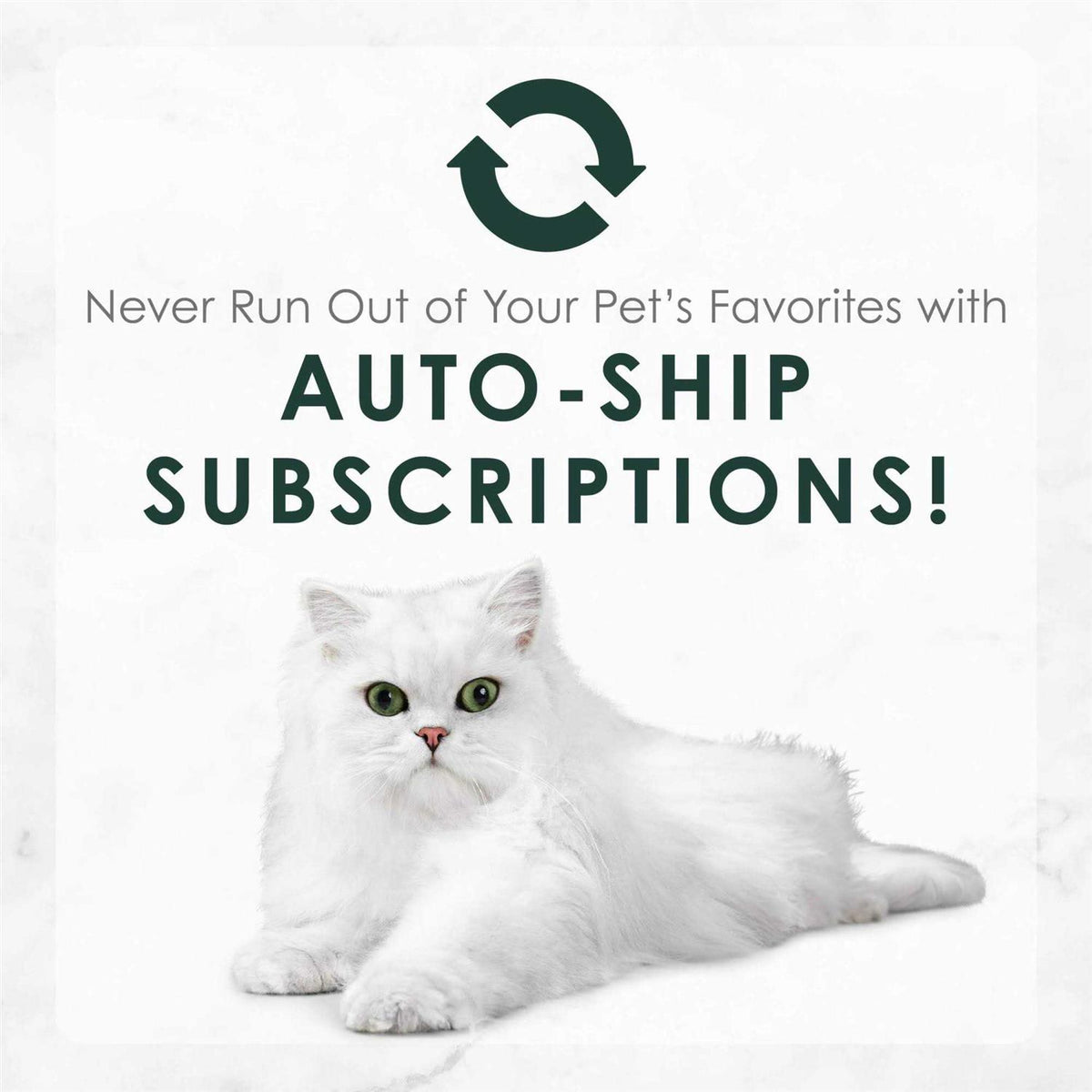 Wet Cat Food T579605