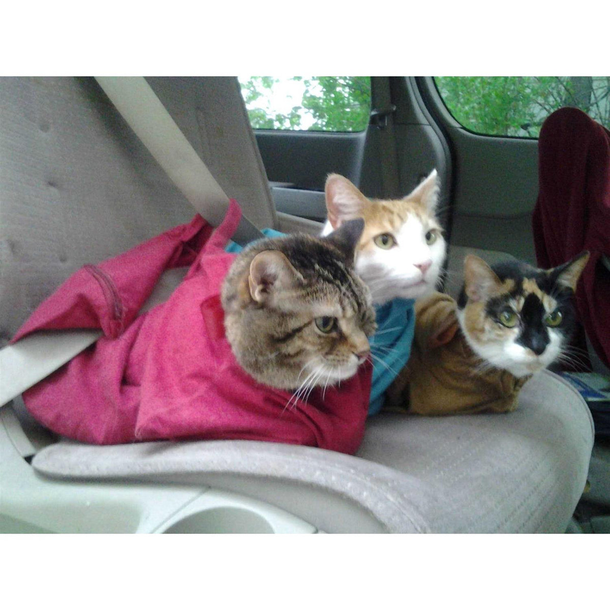 Cozy Comfort Carrier J5083
