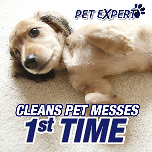 32oz Pet Odor and Stain Remover Spray V280
