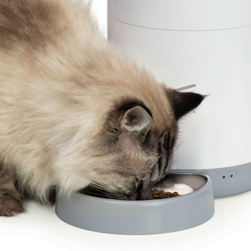 Smart Feeder F36074