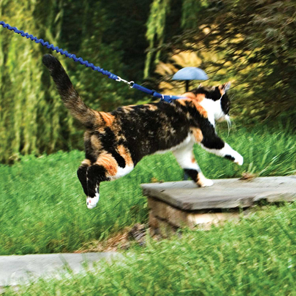 Come with Me Kitty Harness Bungee Leash E538380