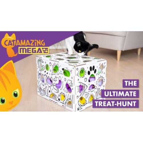 Cat Treat Puzzle Box W356173