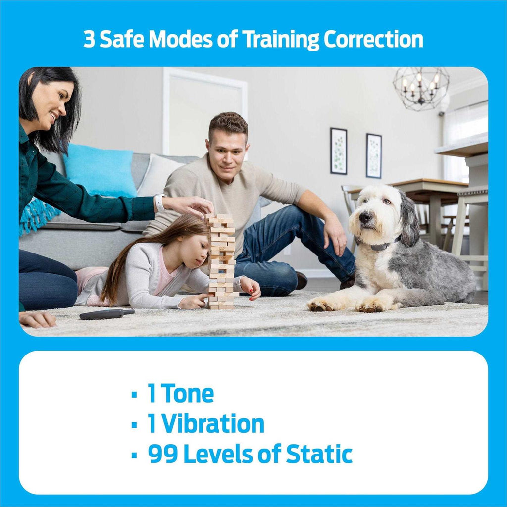 Remote Trainer D386344