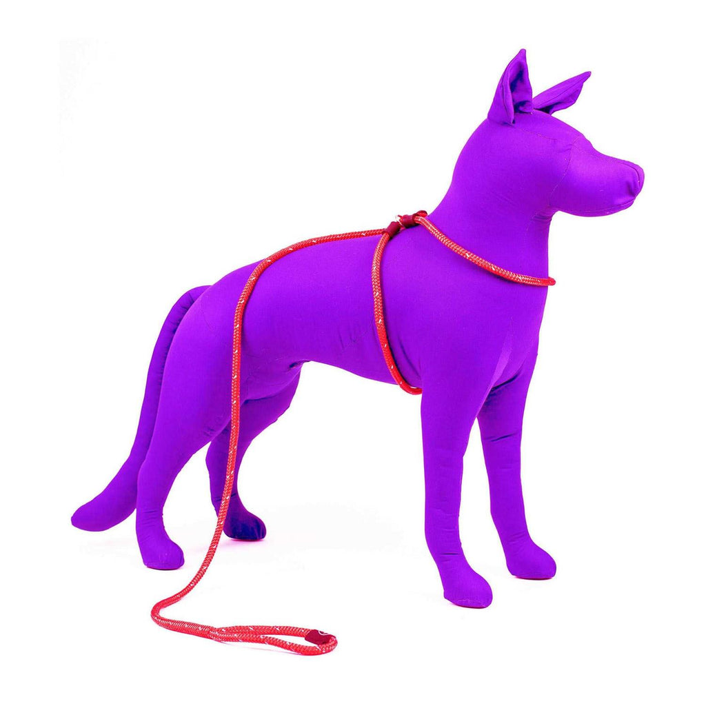Dog Harness N1464