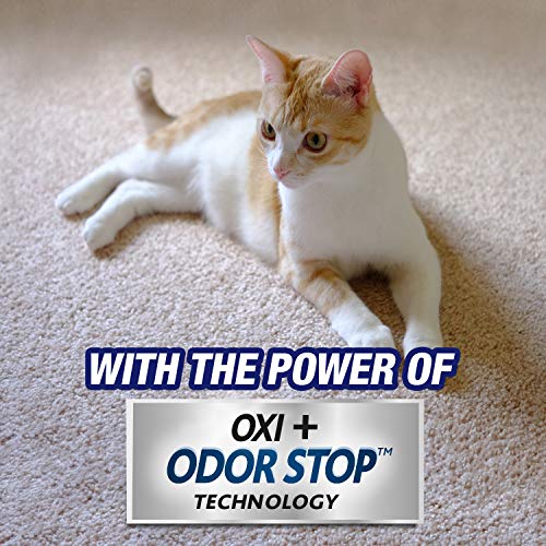 32oz Pet Odor and Stain Remover Spray V280