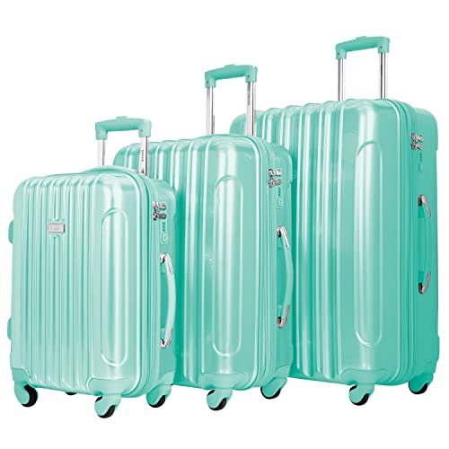 Black Carry-On 20-Inch Hardside Spinner Luggage Z947409