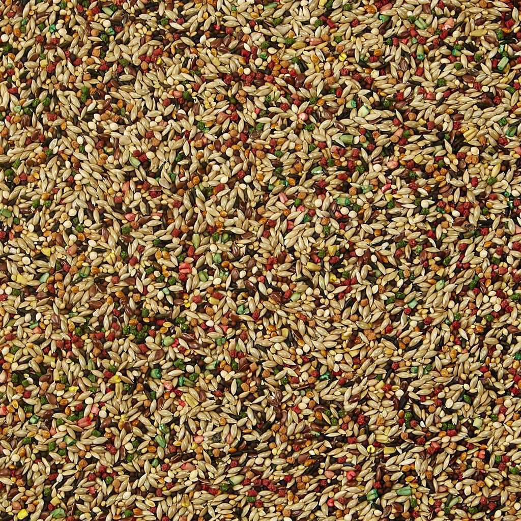 Canary Finch Food C782