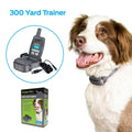 Remote Trainer D386344