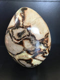 Healing Crystal Free Form Standing, 5.25" H D78923
