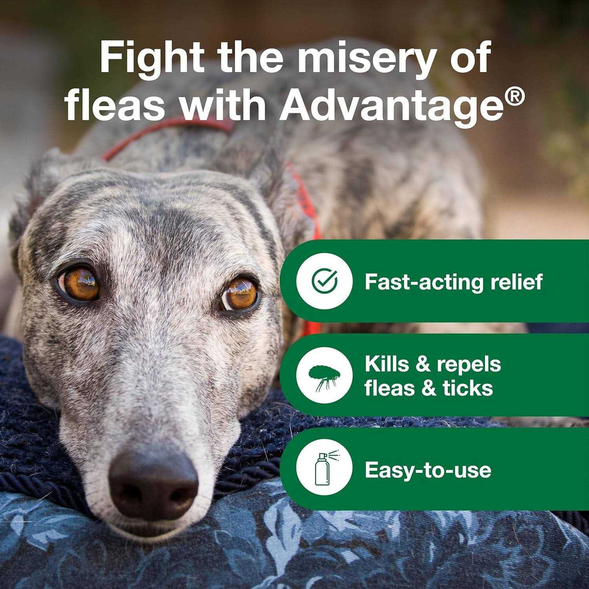 Flea & Tick Treatment Spray for Dogs F132