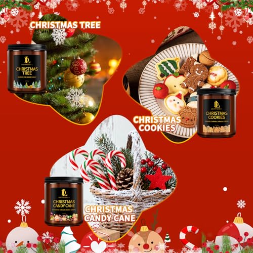 4 Pack Scented Soy Candles L539998