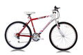 26 Inch 18 Speed Steel Frame Mountain Bike U68155