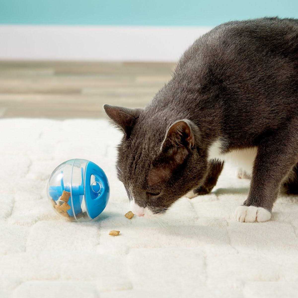 Treat Ball Z2150